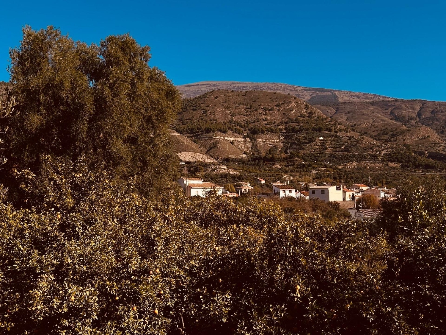  en venta terreno Lecrín Valle De Lecrín 6