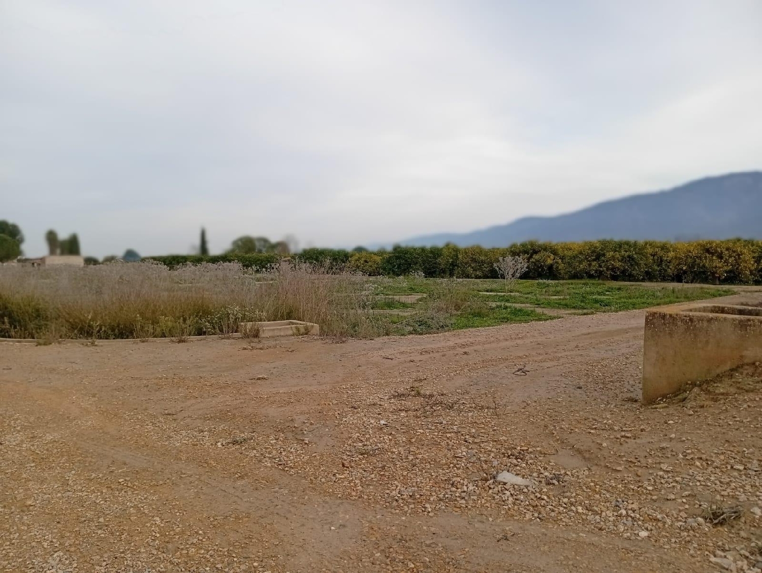 for sale plot Librilla Bajo Guadalentín 8