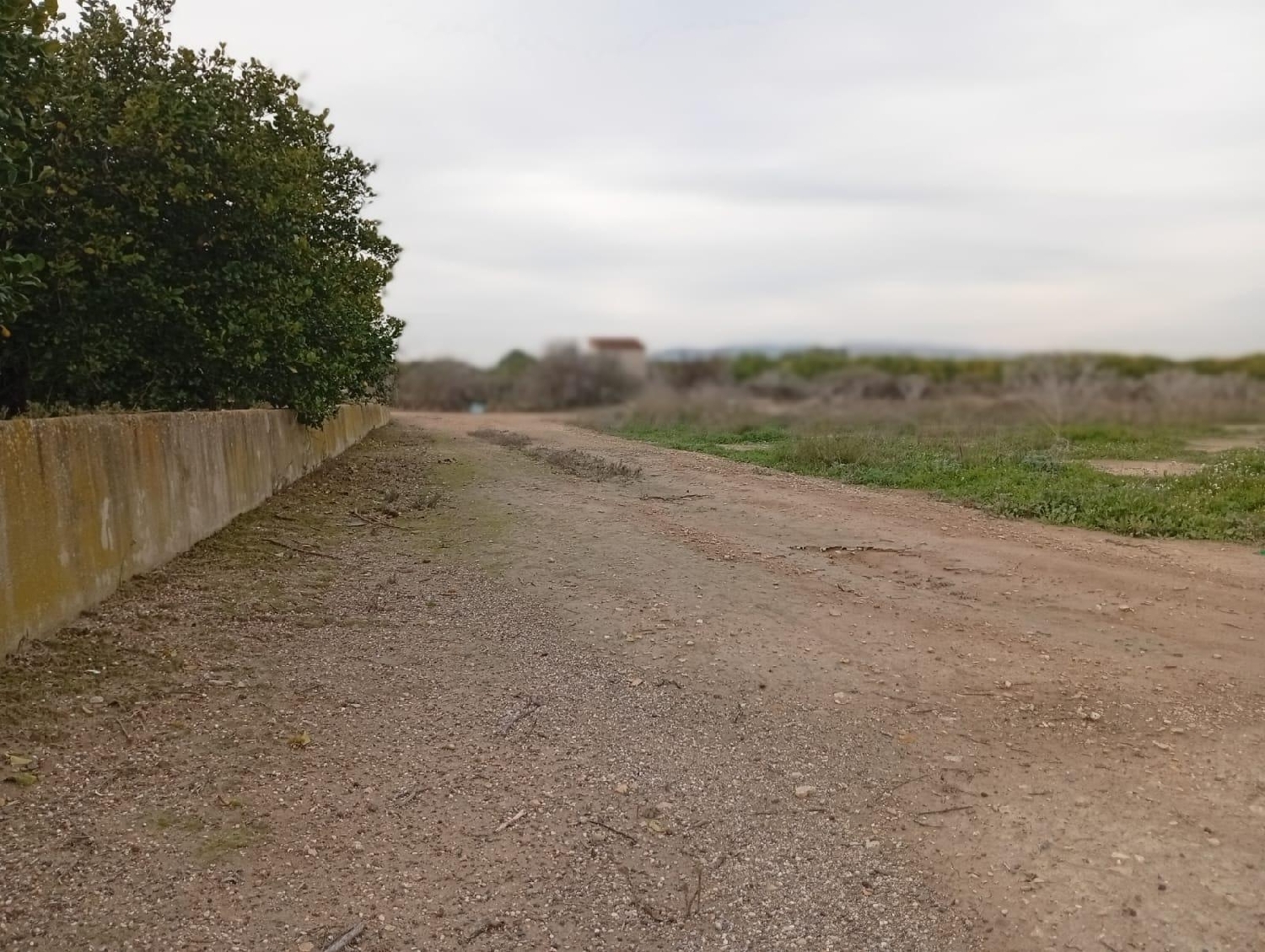 for sale plot Librilla Bajo Guadalentín 5