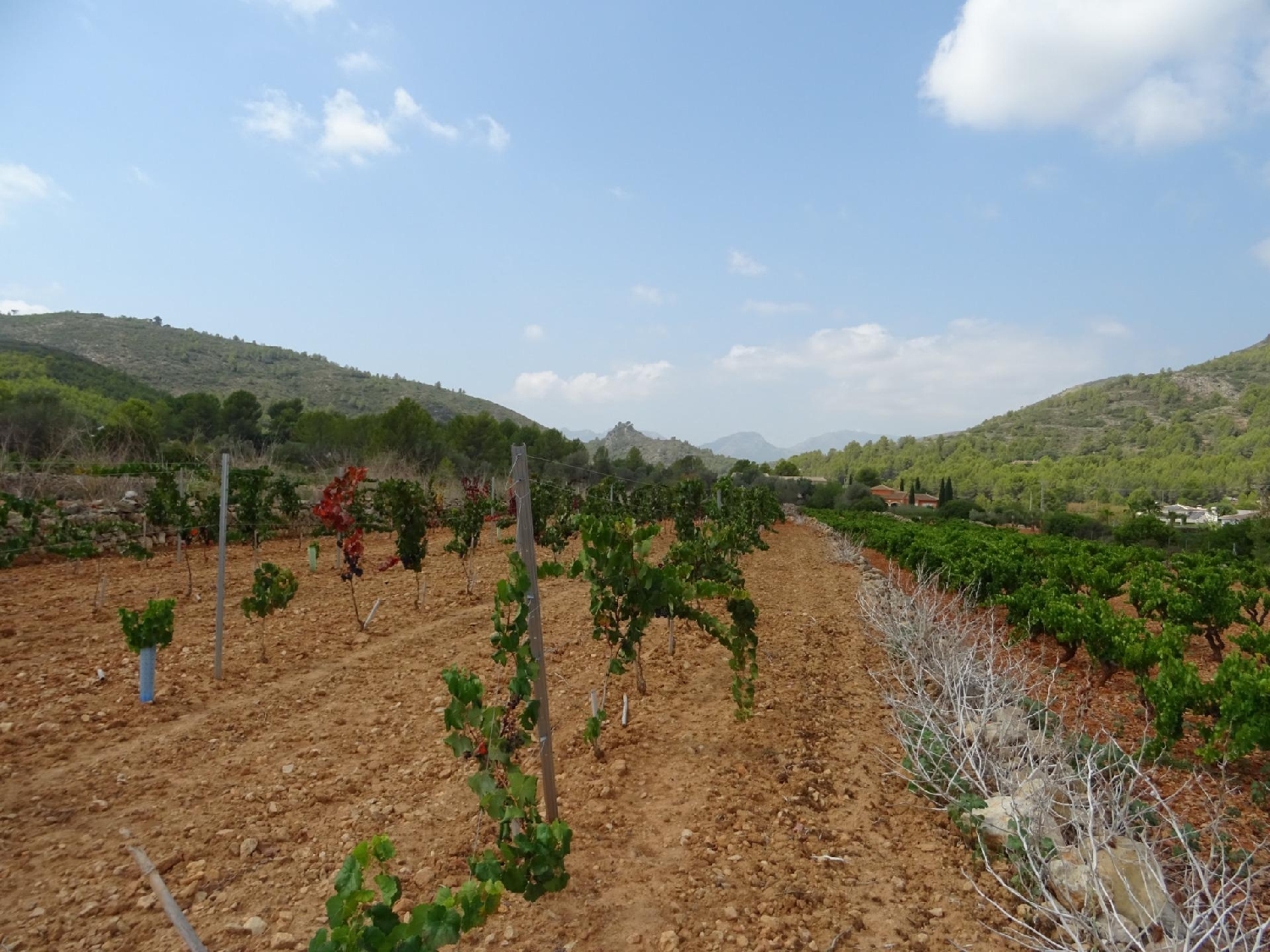  till salu tomt Lliber Marina Alta 2