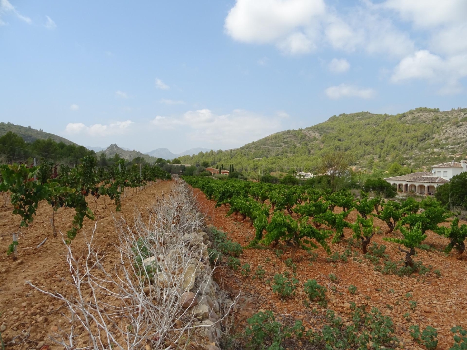  till salu tomt Lliber Marina Alta 1