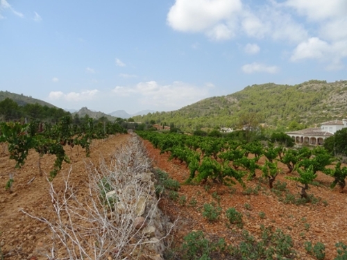 Lliber Marina Alta tomt foto 6328786