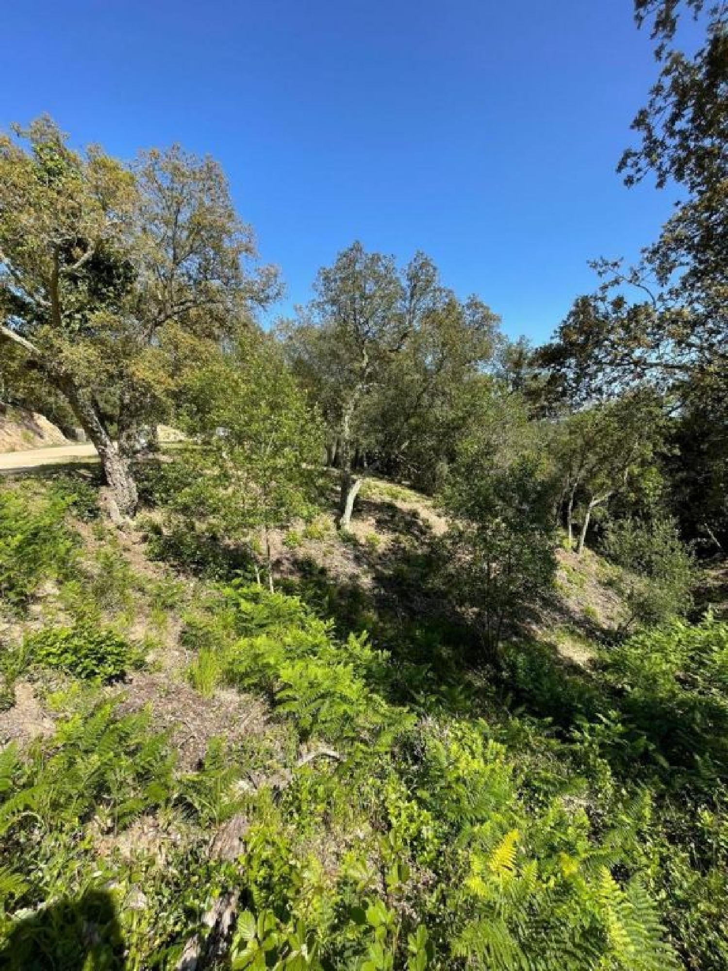  kaufen Grundstück Lloret De Mar Selva 3