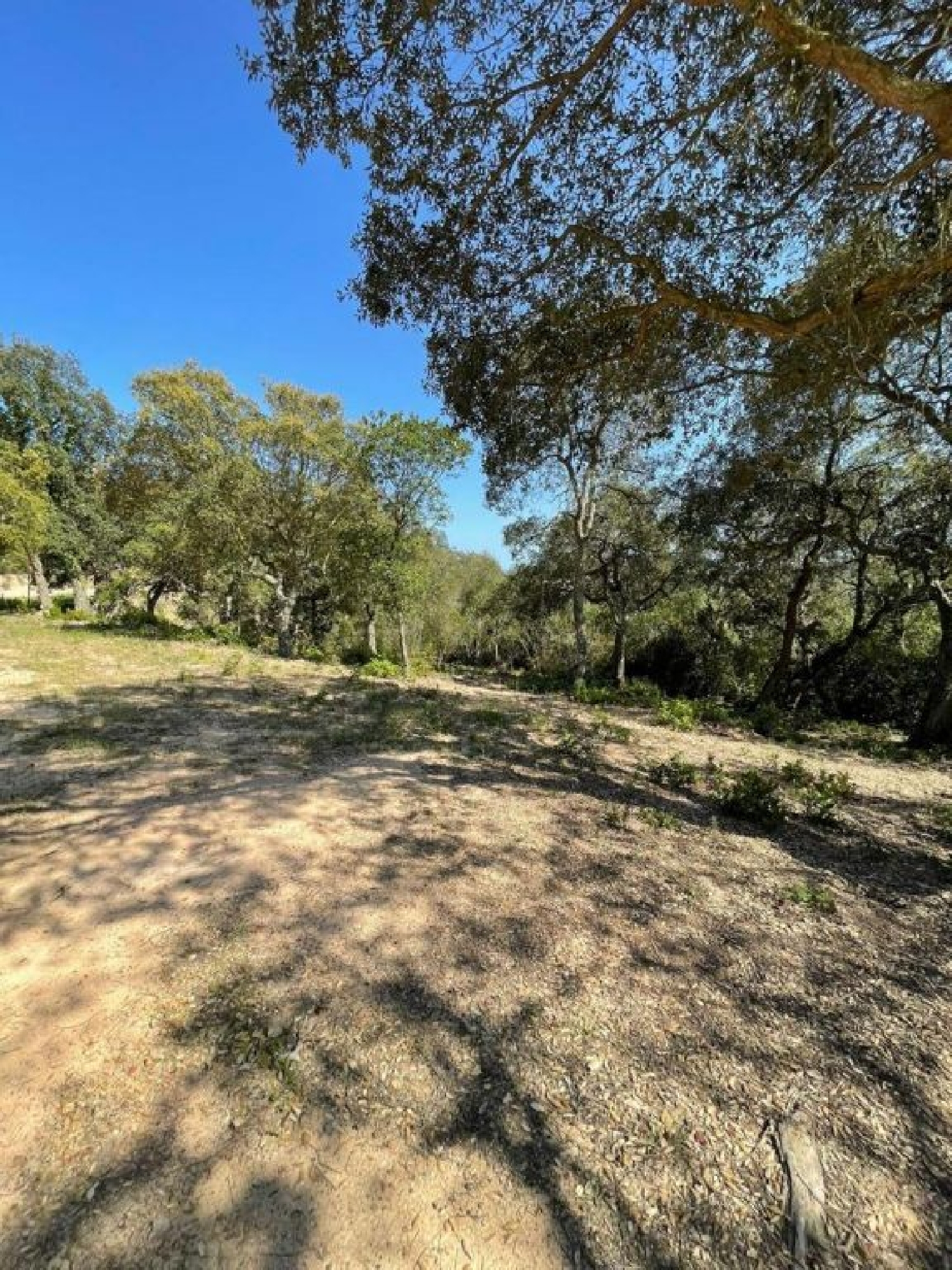  kaufen Grundstück Lloret De Mar Selva 1