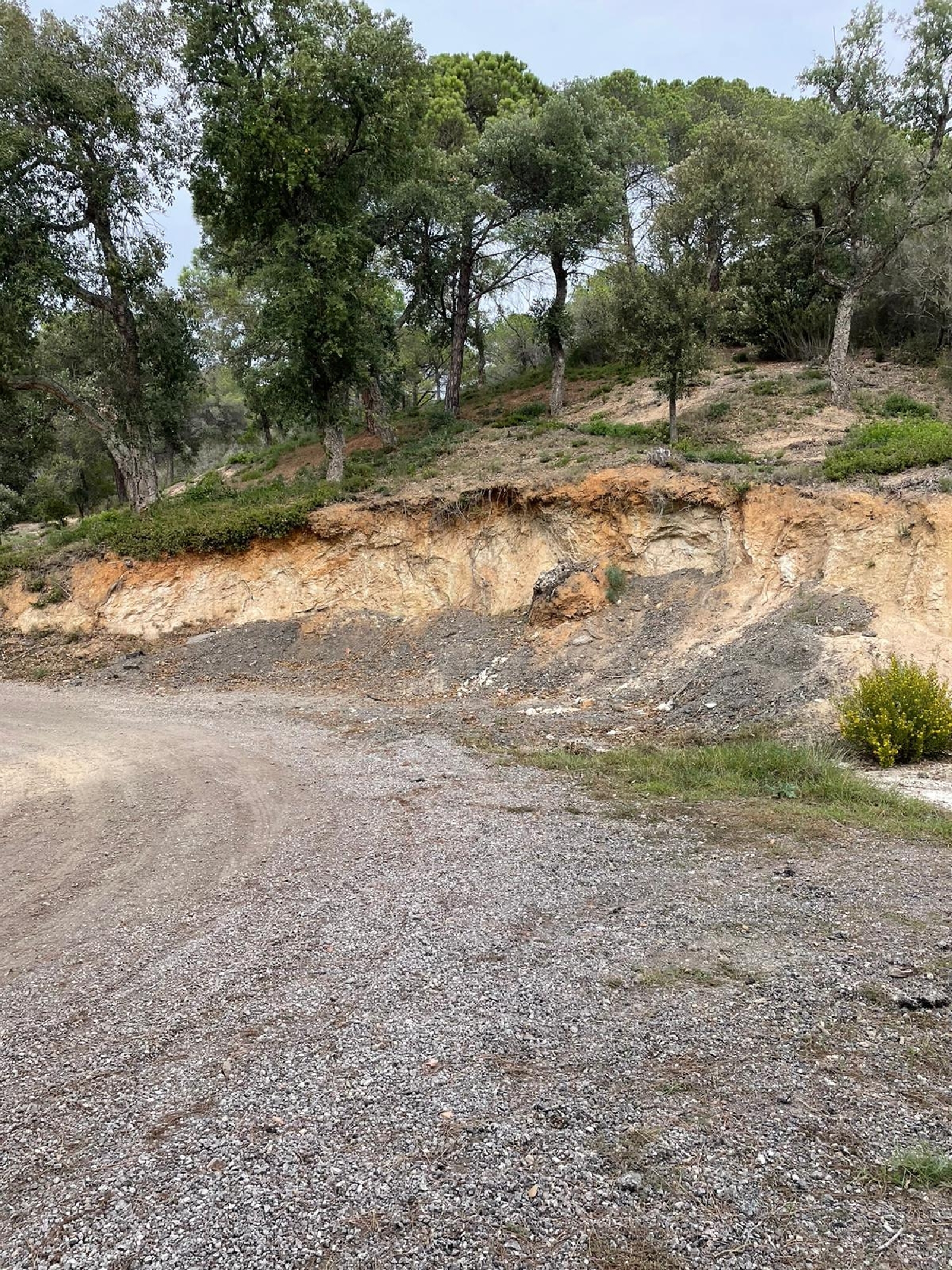  kaufen Grundstück Lloret De Mar Selva 4