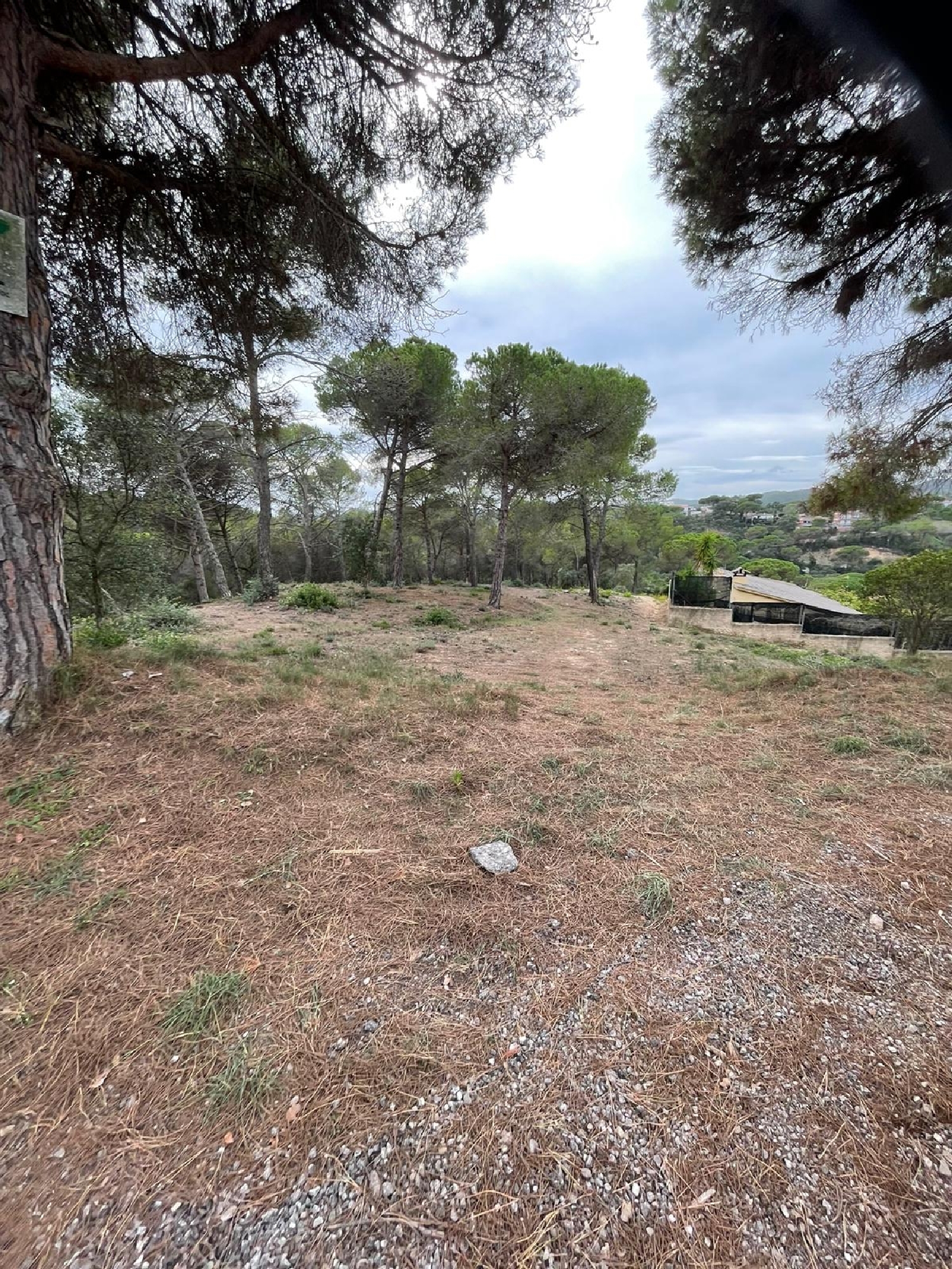  kaufen Grundstück Lloret De Mar Selva 3