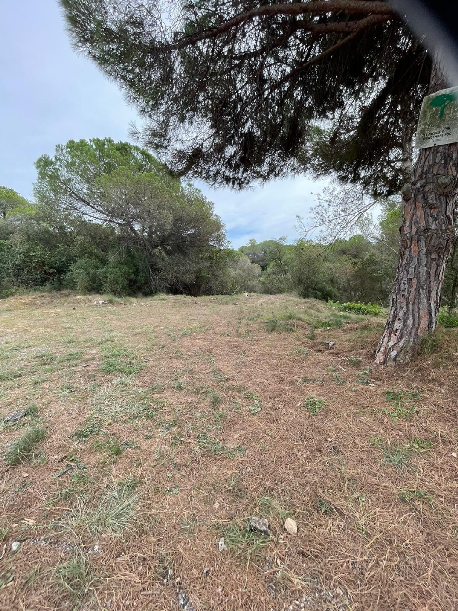  kaufen Grundstück Lloret De Mar Selva 1