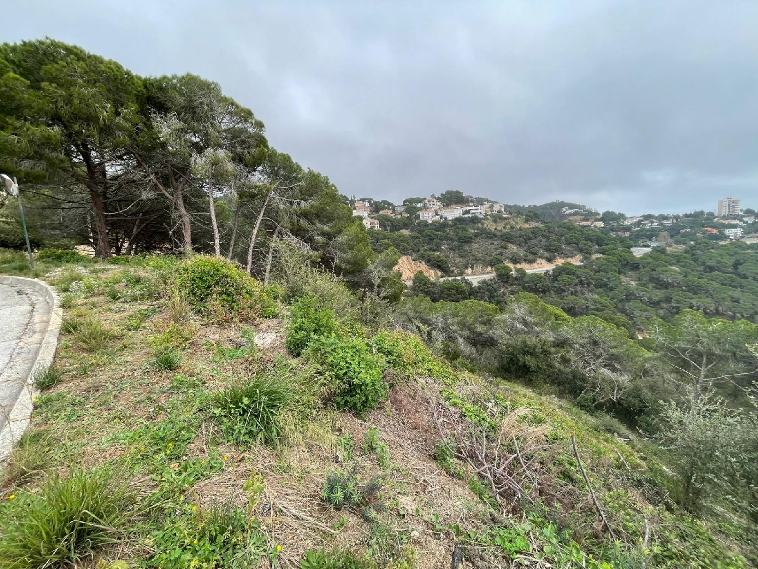 kaufen Grundstück Lloret De Mar Selva 4