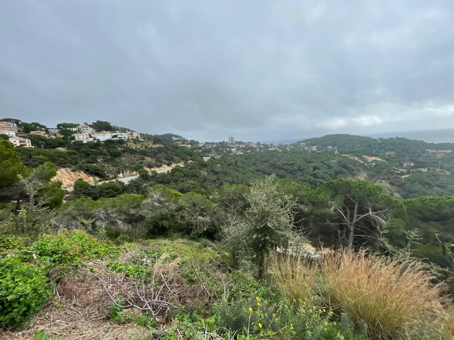  kaufen Grundstück Lloret De Mar Selva 3