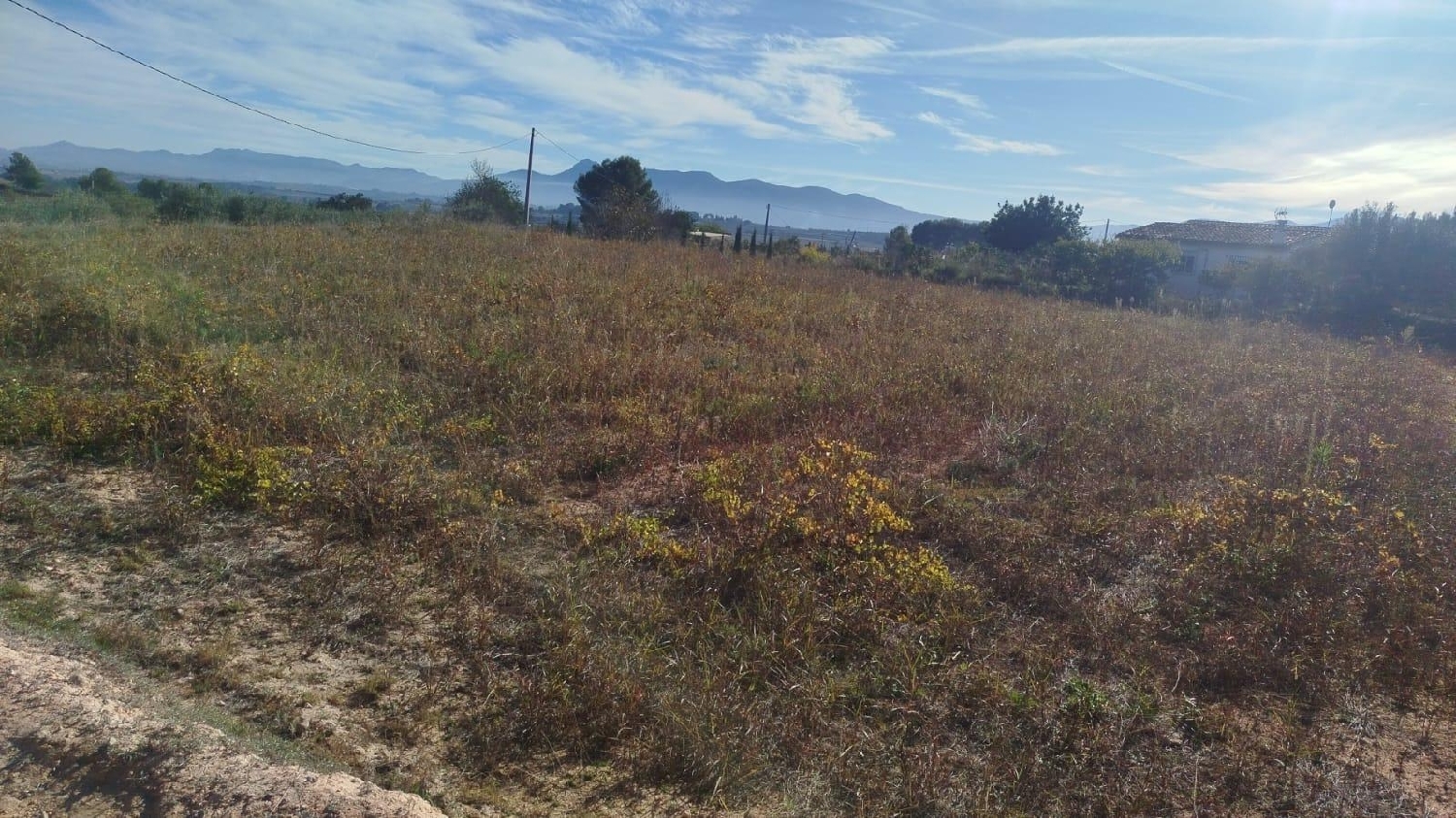  en venta terreno L'olleria Vall D'albaida 6