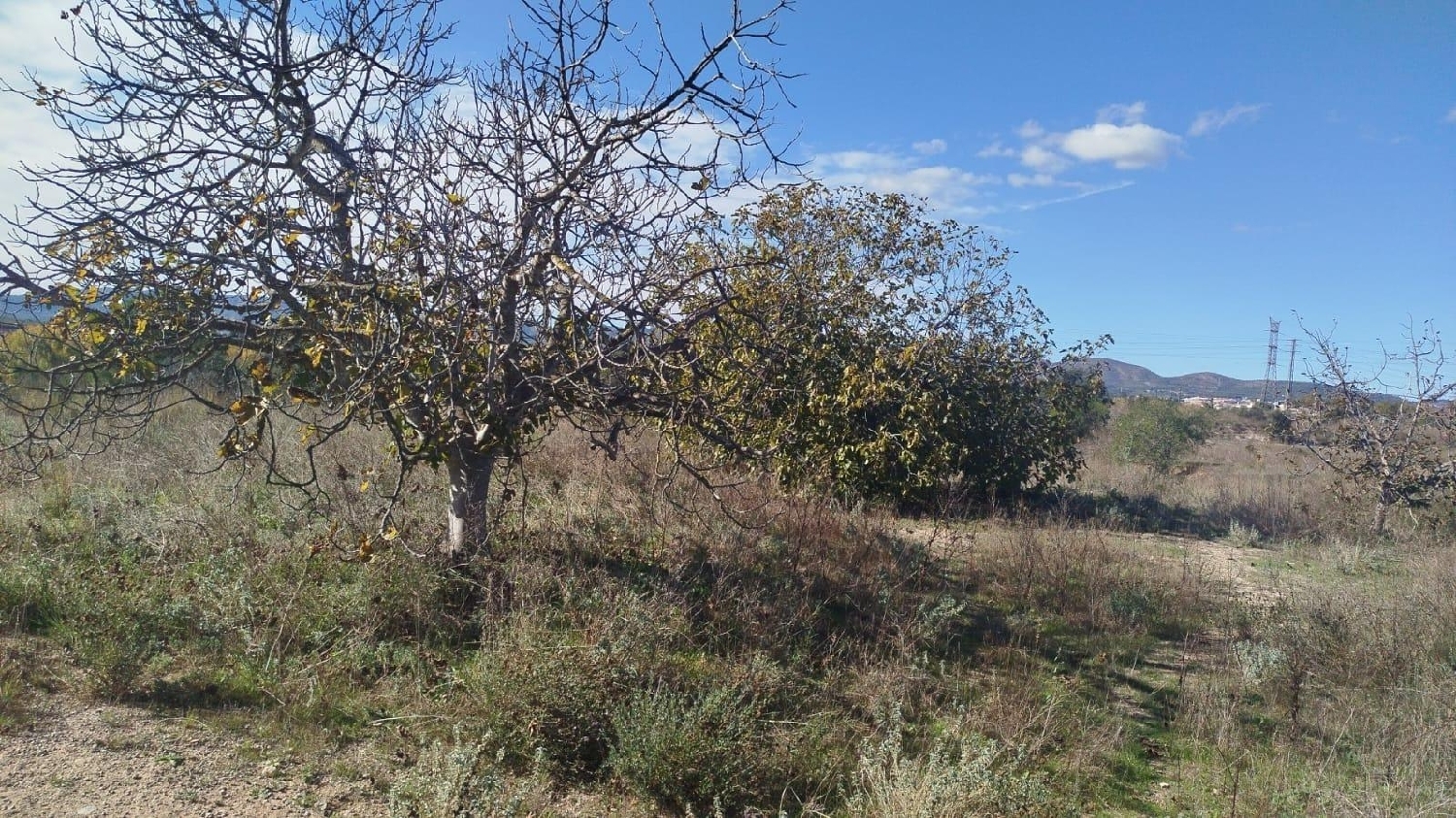 en venta terreno L'olleria Vall D'albaida 8