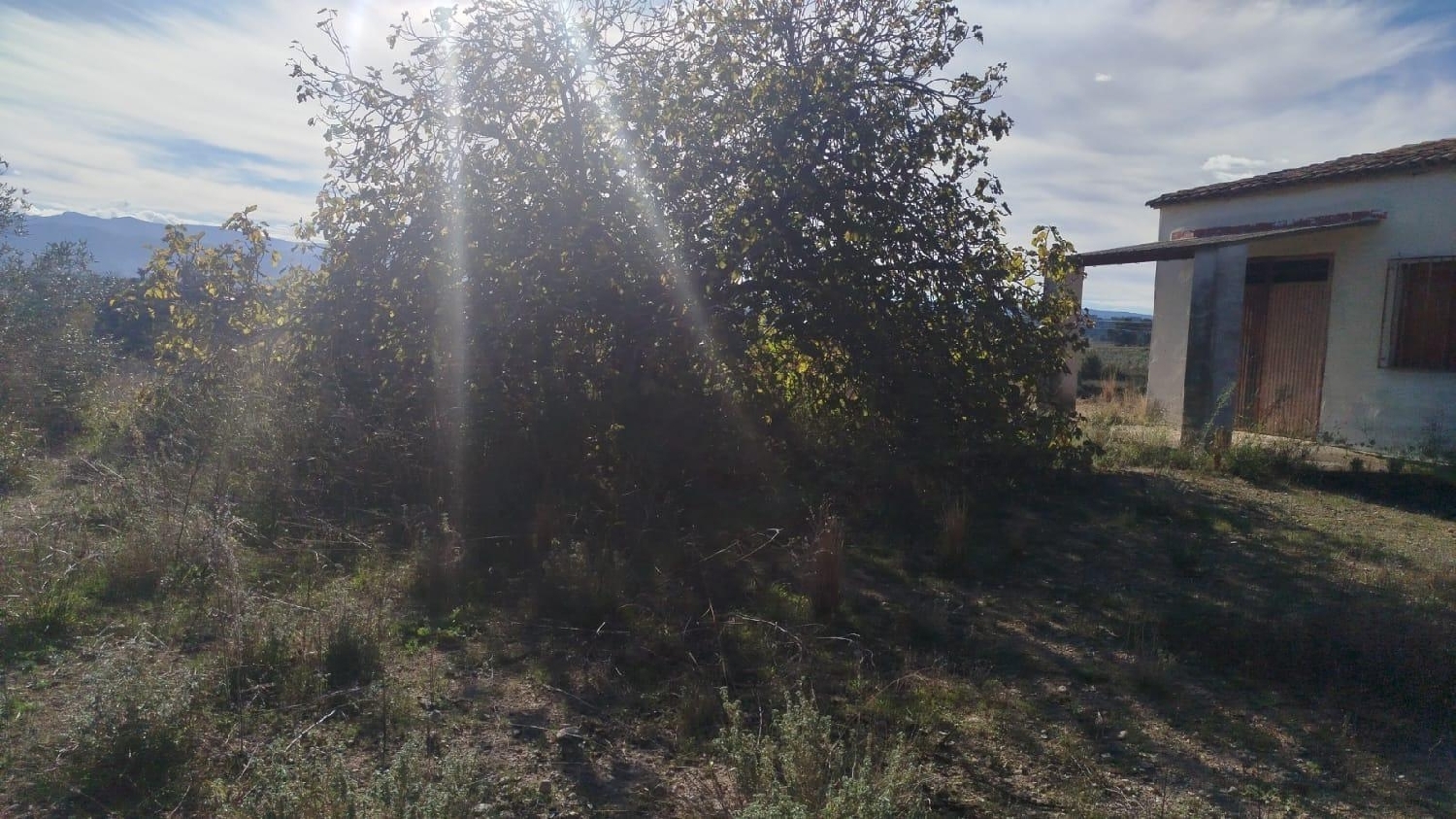  en venta terreno L'olleria Vall D'albaida 2