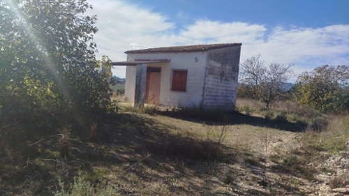 L''olleria Vall D''albaida terreno foto 6334312