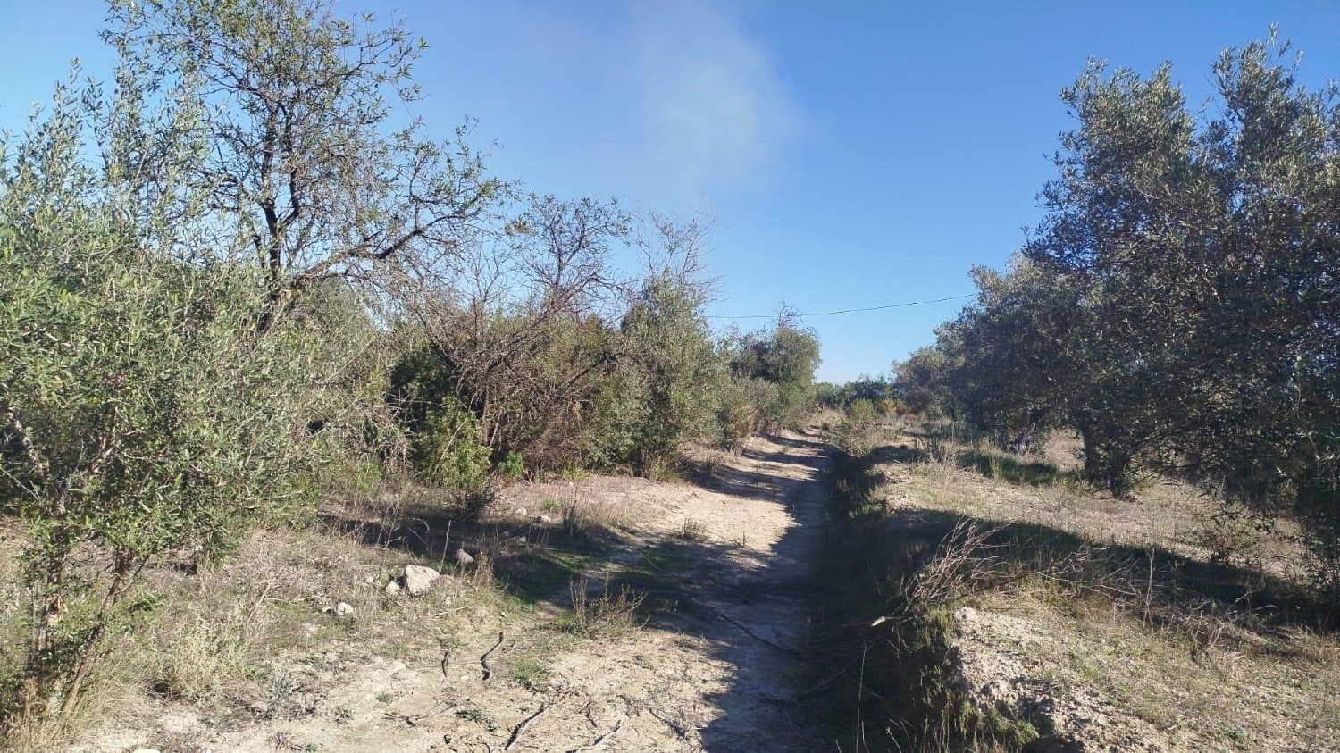  en venta terreno L'olleria Vall D'albaida 4