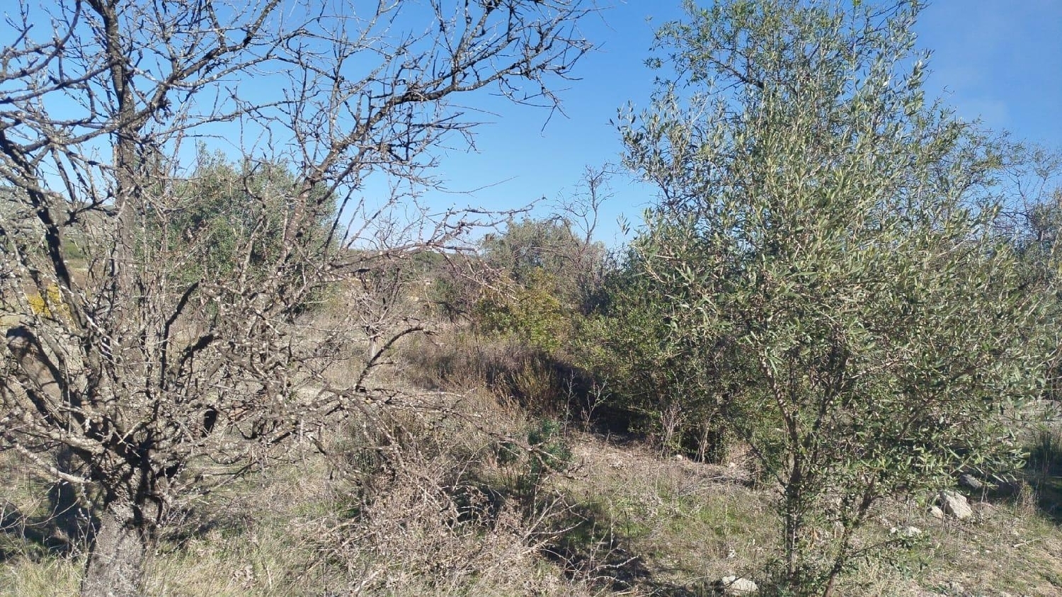  en venta terreno L'olleria Vall D'albaida 6