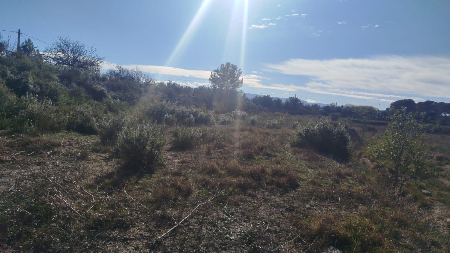  en venta terreno L'olleria Vall D'albaida 1