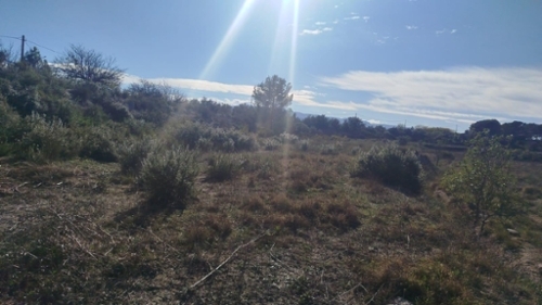 L''olleria Vall D''albaida terreno foto 6334313