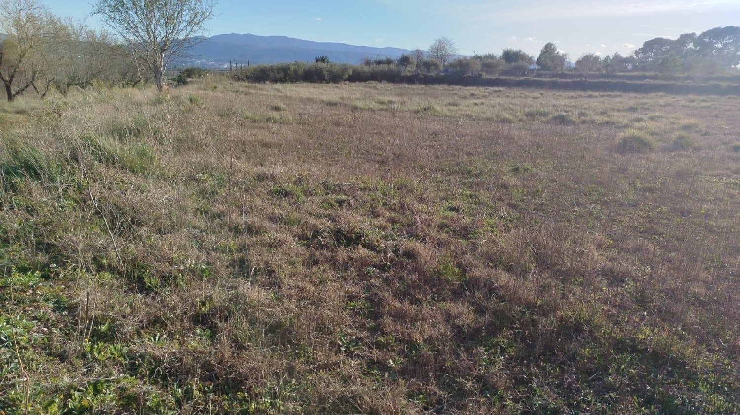  en venta terreno L'olleria Vall D'albaida 3