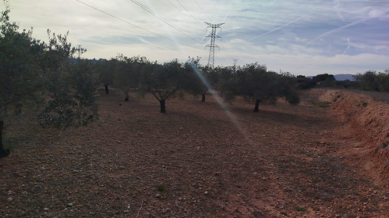  en venta terreno L'olleria Vall D'albaida 5