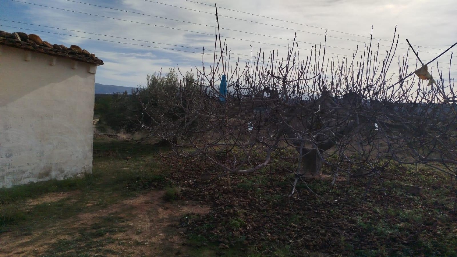  en venta terreno L'olleria Vall D'albaida 3