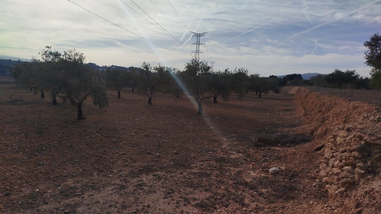  en venta terreno L'olleria Vall D'albaida 7