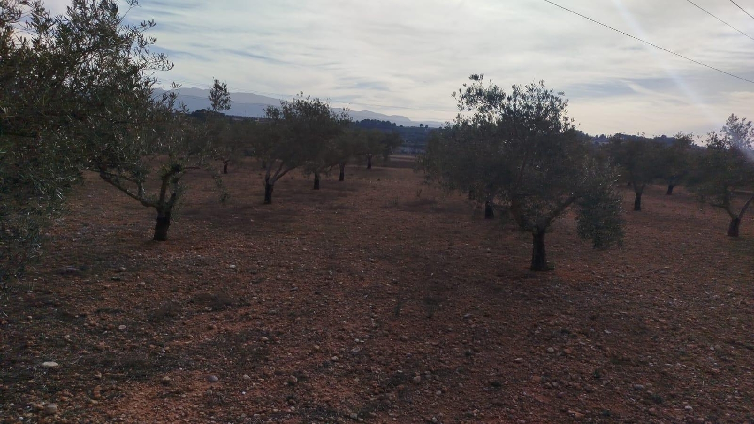  en venta terreno L'olleria Vall D'albaida 6