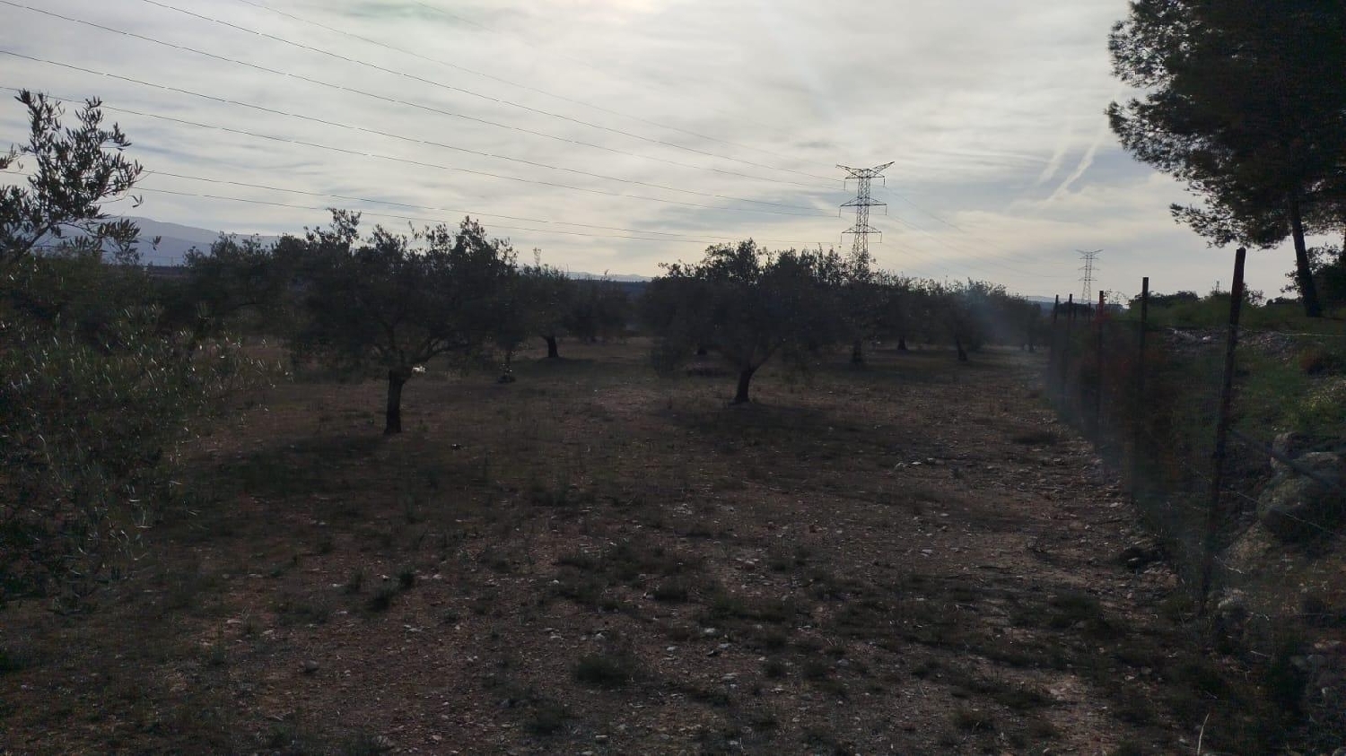  en venta terreno L'olleria Vall D'albaida 4