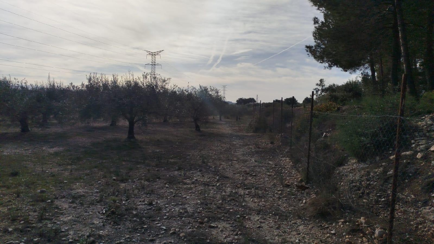  en venta terreno L'olleria Vall D'albaida 8