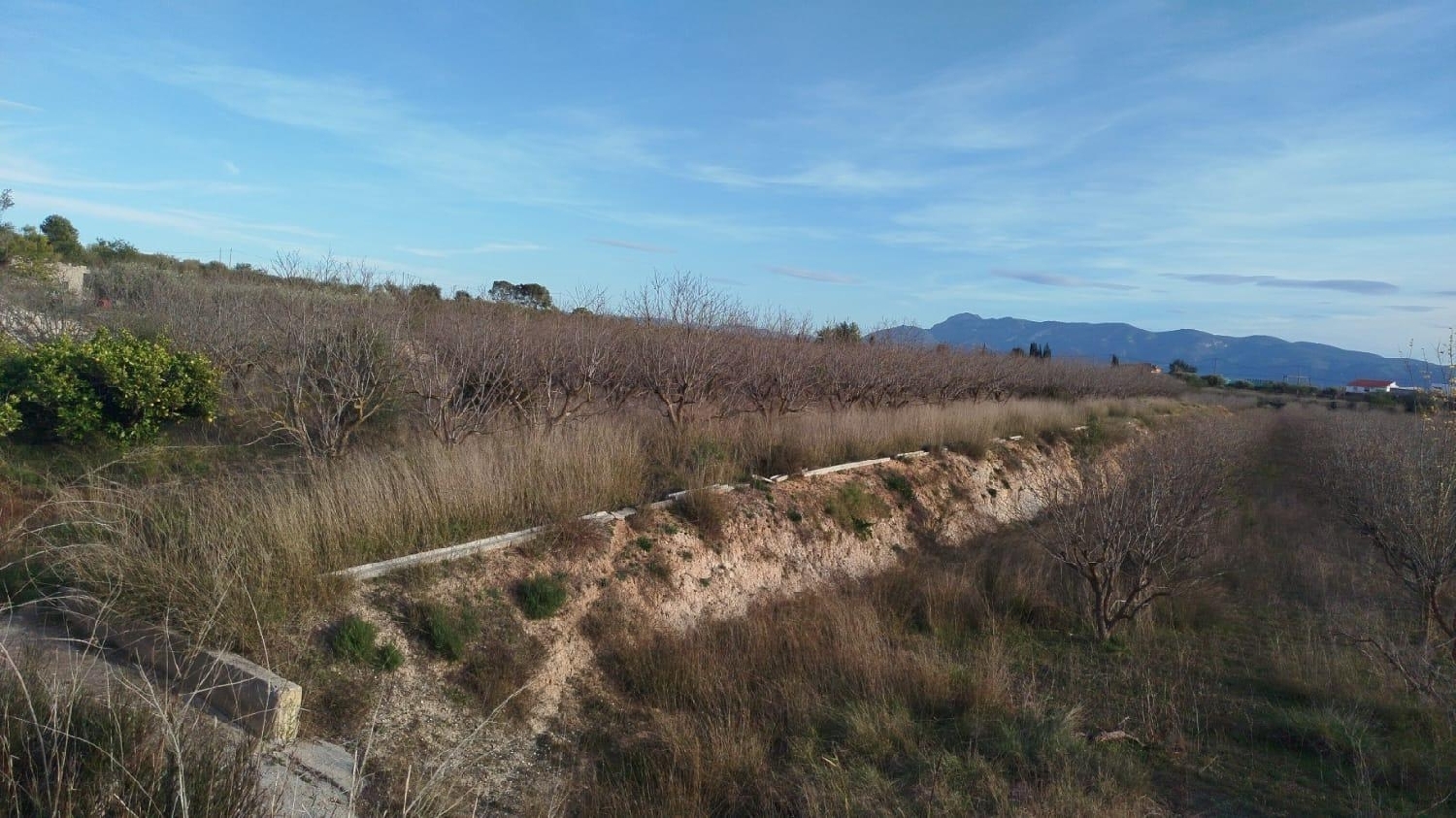  en venta terreno L'olleria Vall D'albaida 5