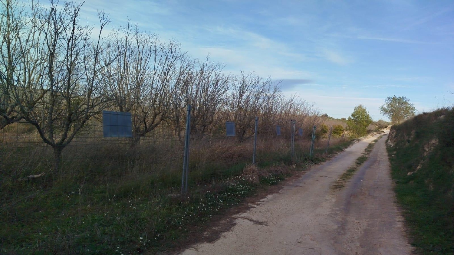  en venta terreno L'olleria Vall D'albaida 1