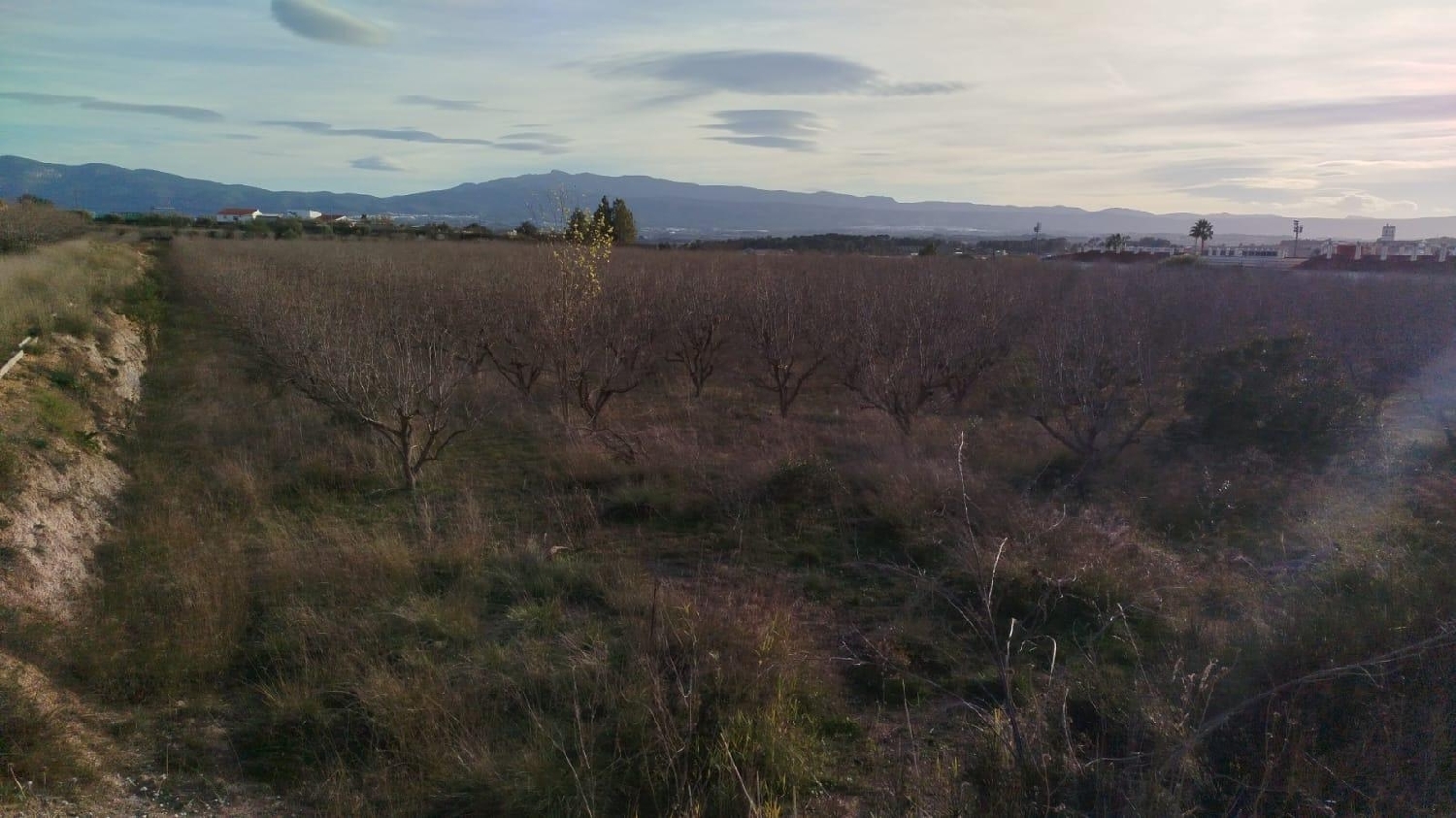  en venta terreno L'olleria Vall D'albaida 6