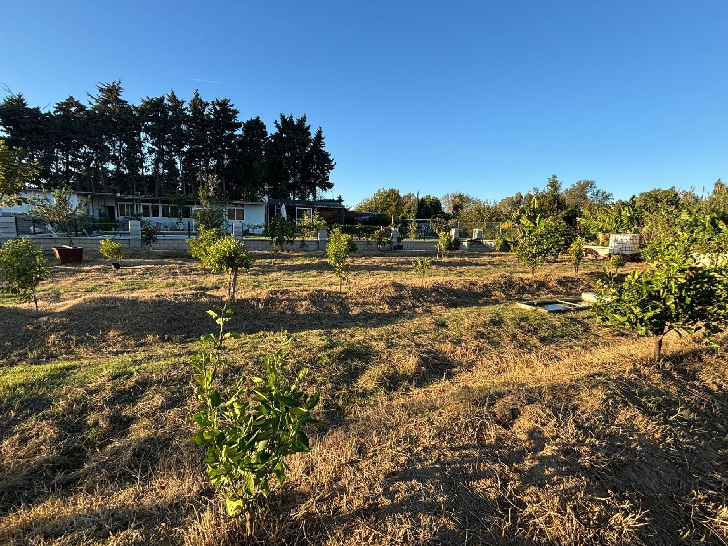 kaufen Grundstück Los Barrios Campo De Gibraltar 3