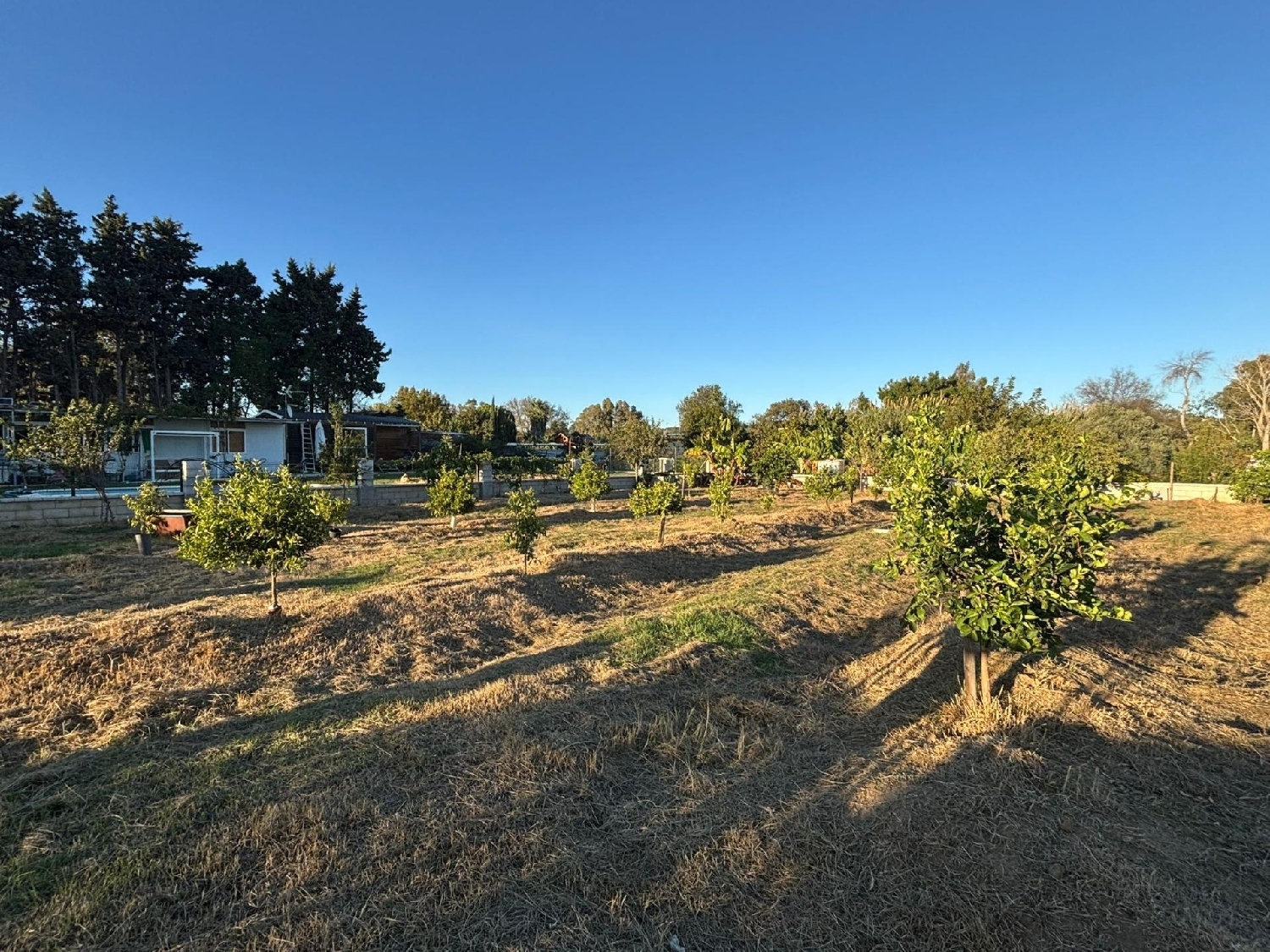 kaufen Grundstück Los Barrios Campo De Gibraltar 2