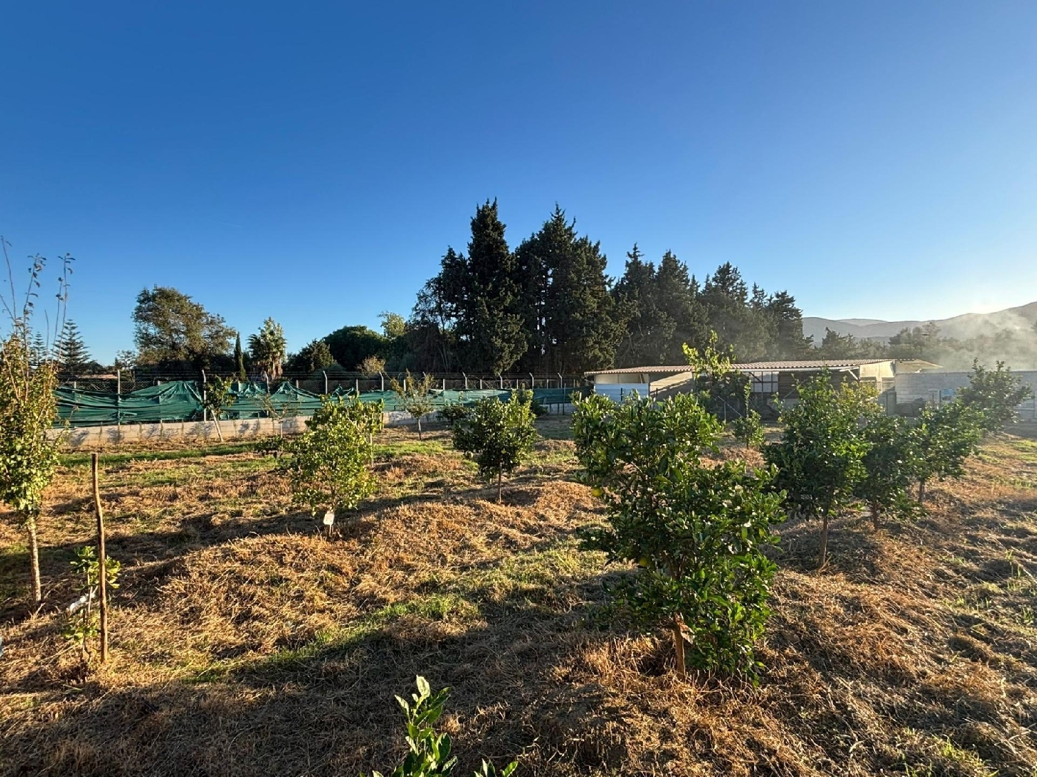 kaufen Grundstück Los Barrios Campo De Gibraltar 6