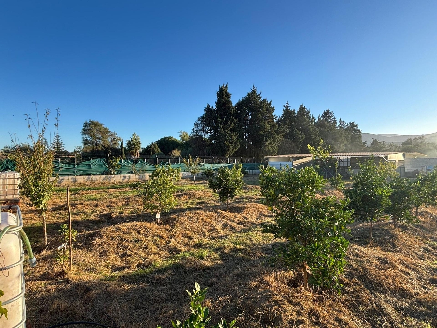 kaufen Grundstück Los Barrios Campo De Gibraltar 5