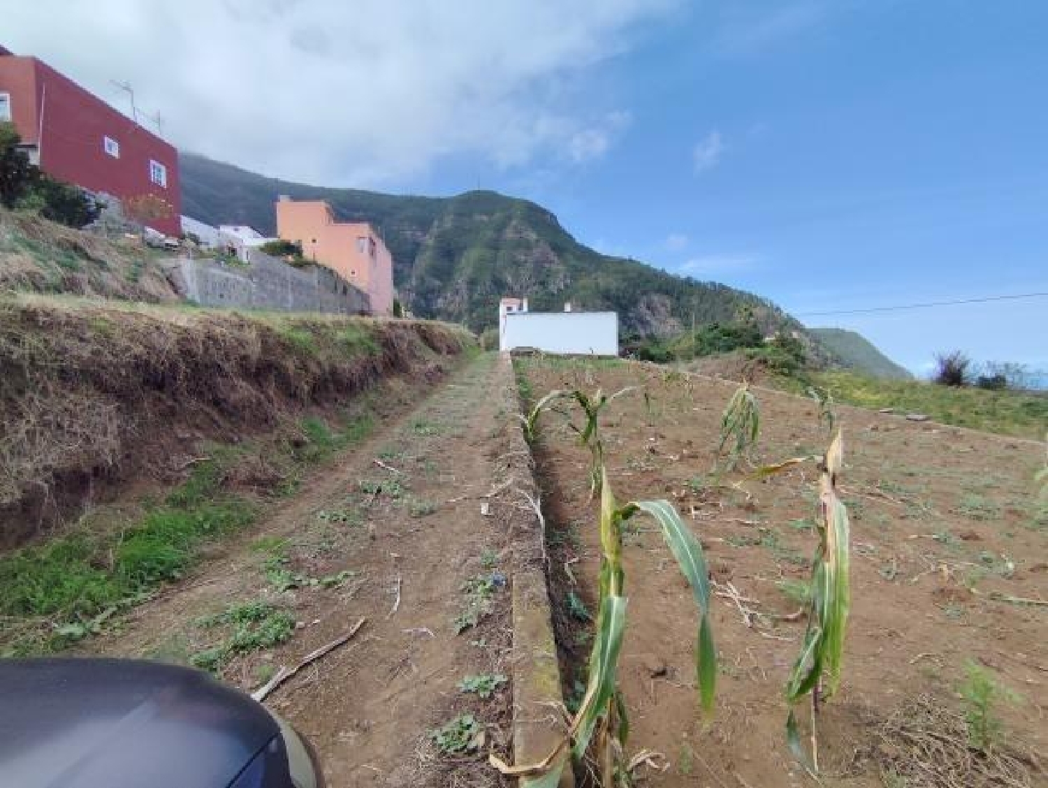  en venta terreno Los Realejos Zona Norte 7