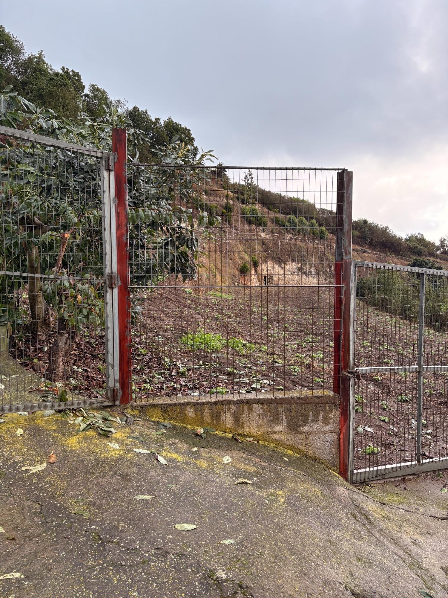  en venta terreno Los Realejos Zona Norte 2