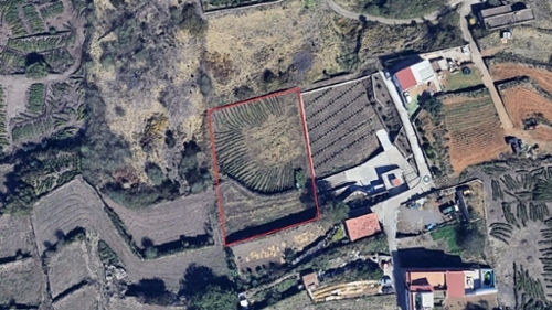 Los Realejos Zona Norte terreno foto 6328847