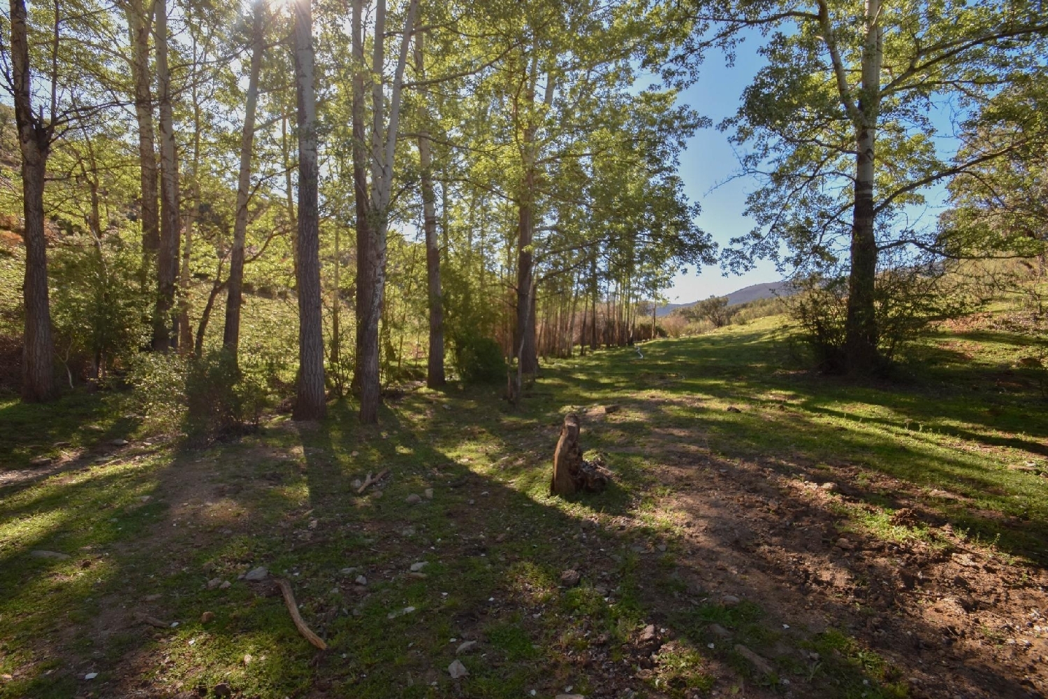  till salu tomt Lugros Accitania 3