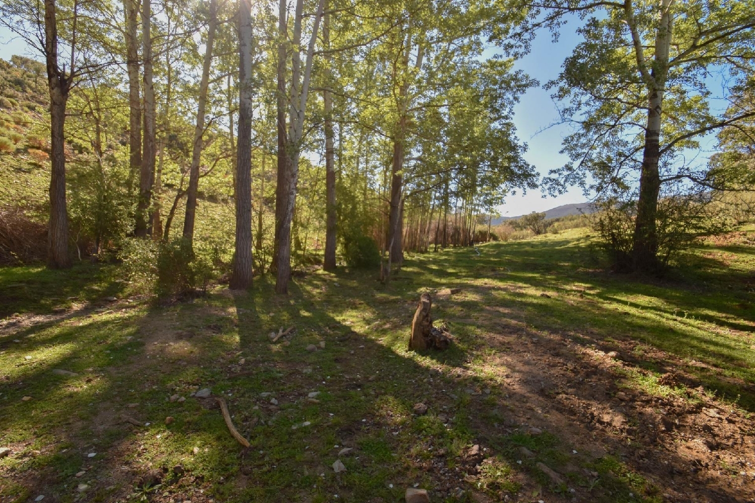  till salu tomt Lugros Accitania 4