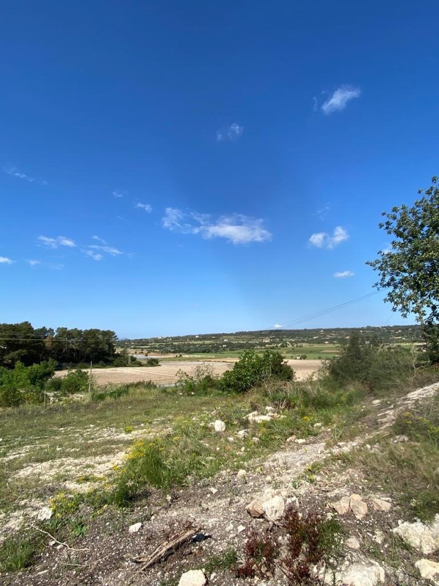 for sale plot Manacor Llevant 3