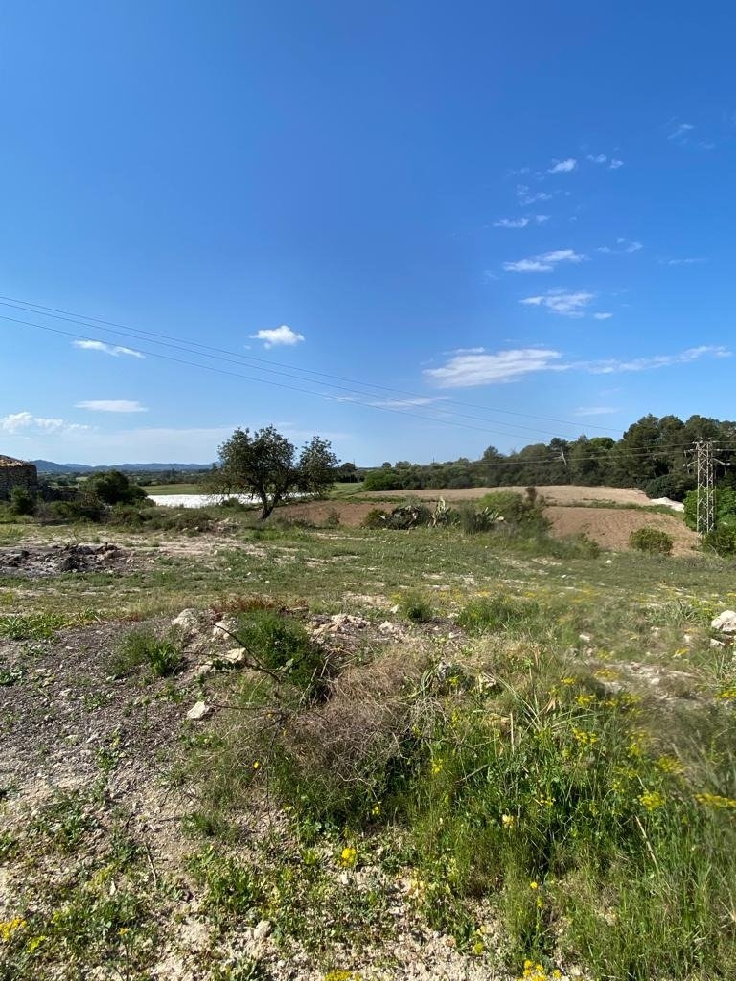 for sale plot Manacor Llevant 2
