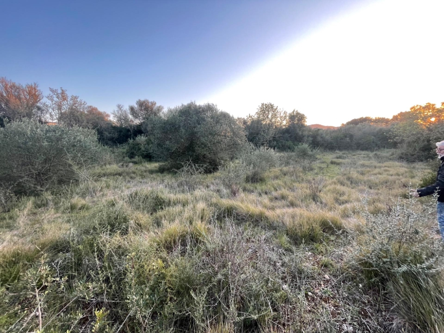 for sale plot Manacor Llevant 2