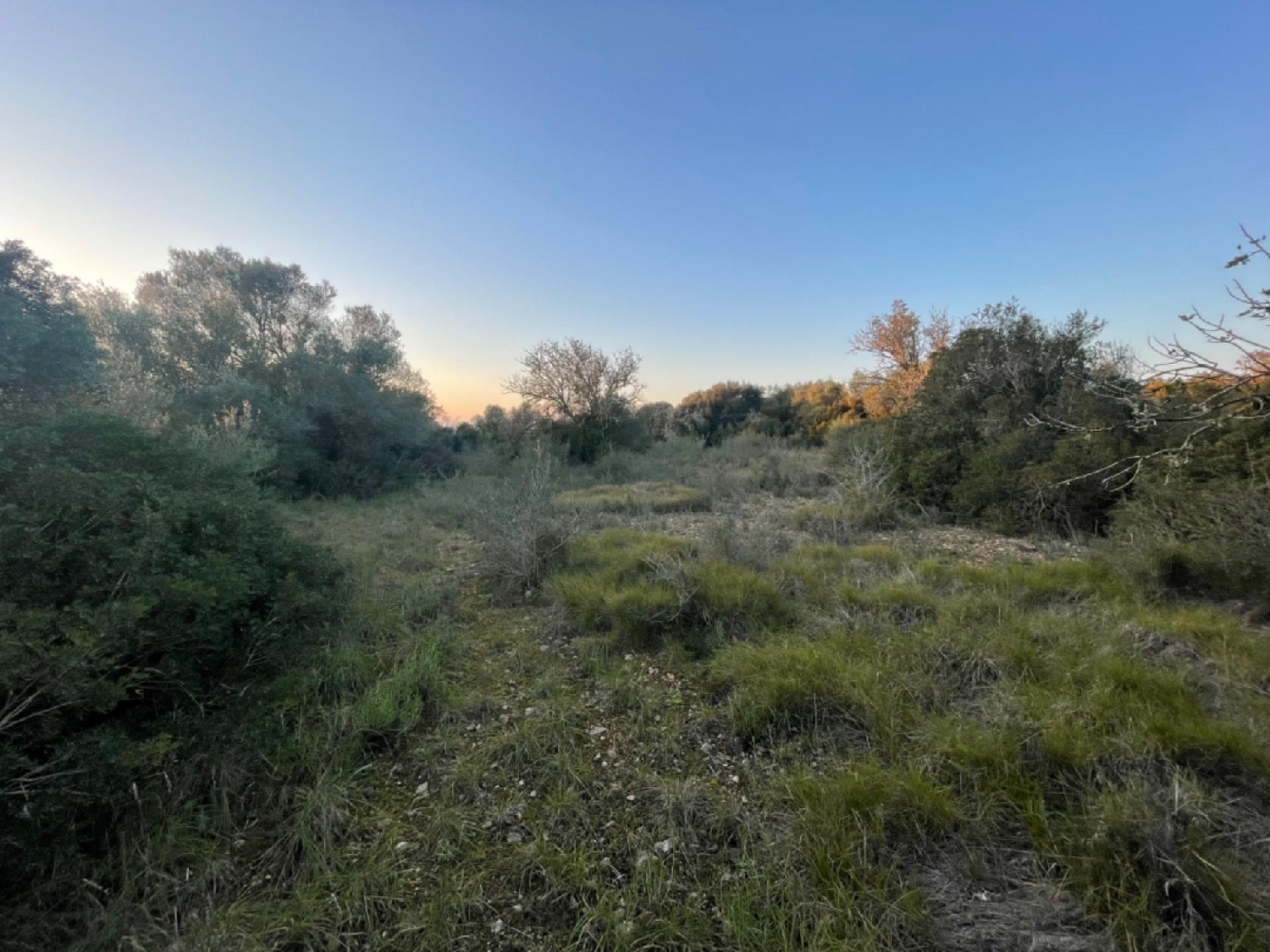 for sale plot Manacor Llevant 3