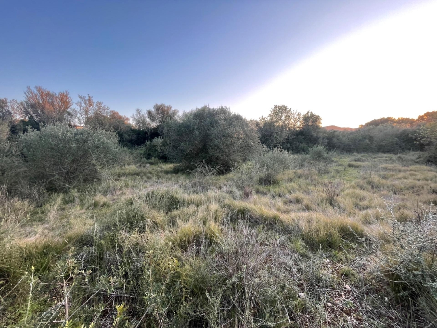 for sale plot Manacor Llevant 5