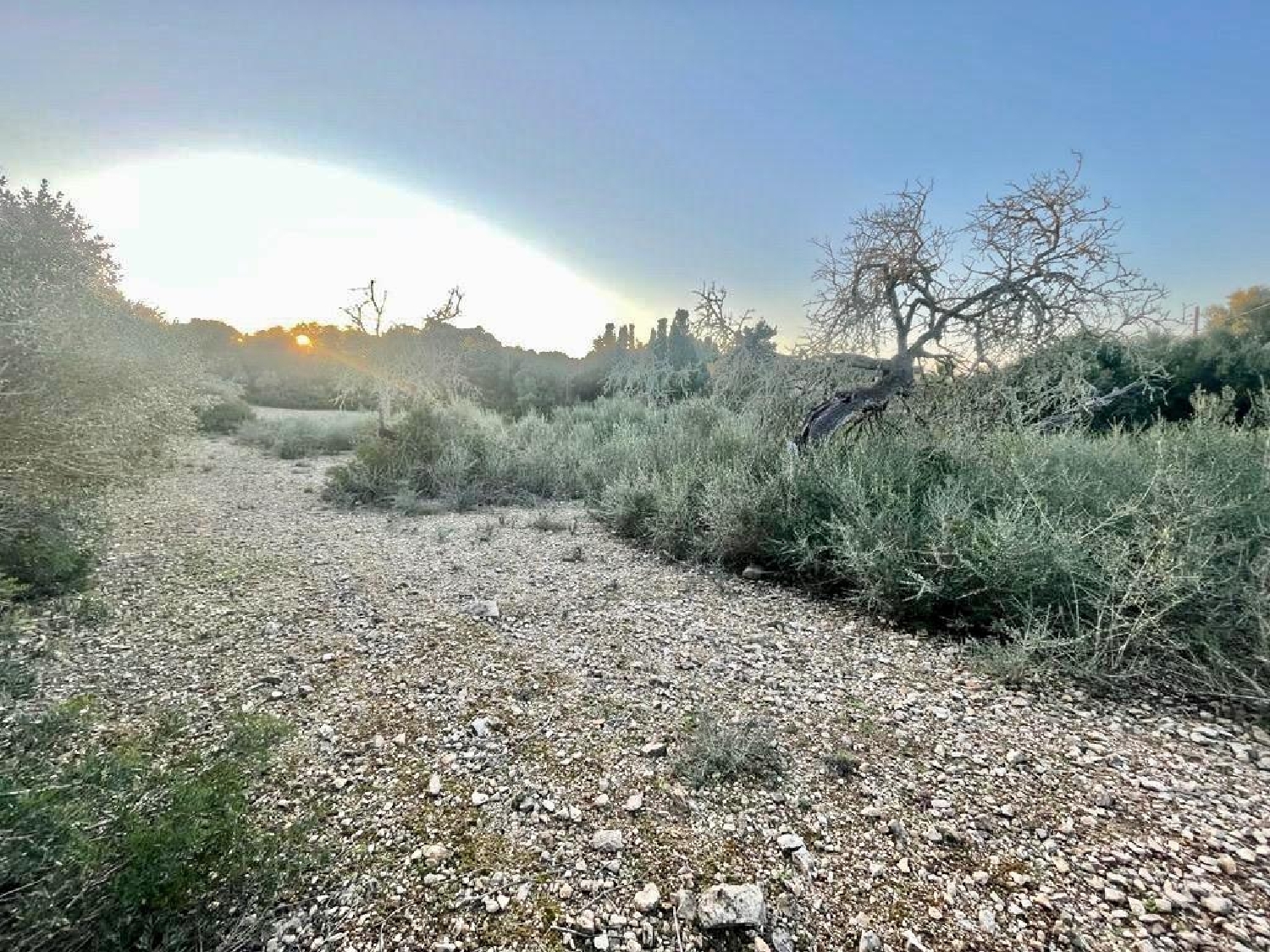 for sale plot Manacor Llevant 3