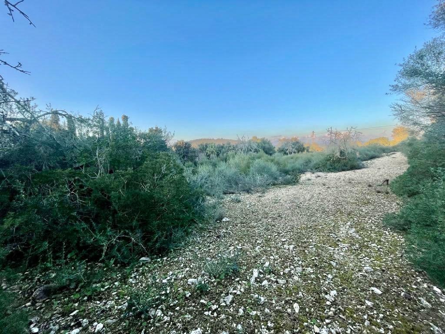 for sale plot Manacor Llevant 1