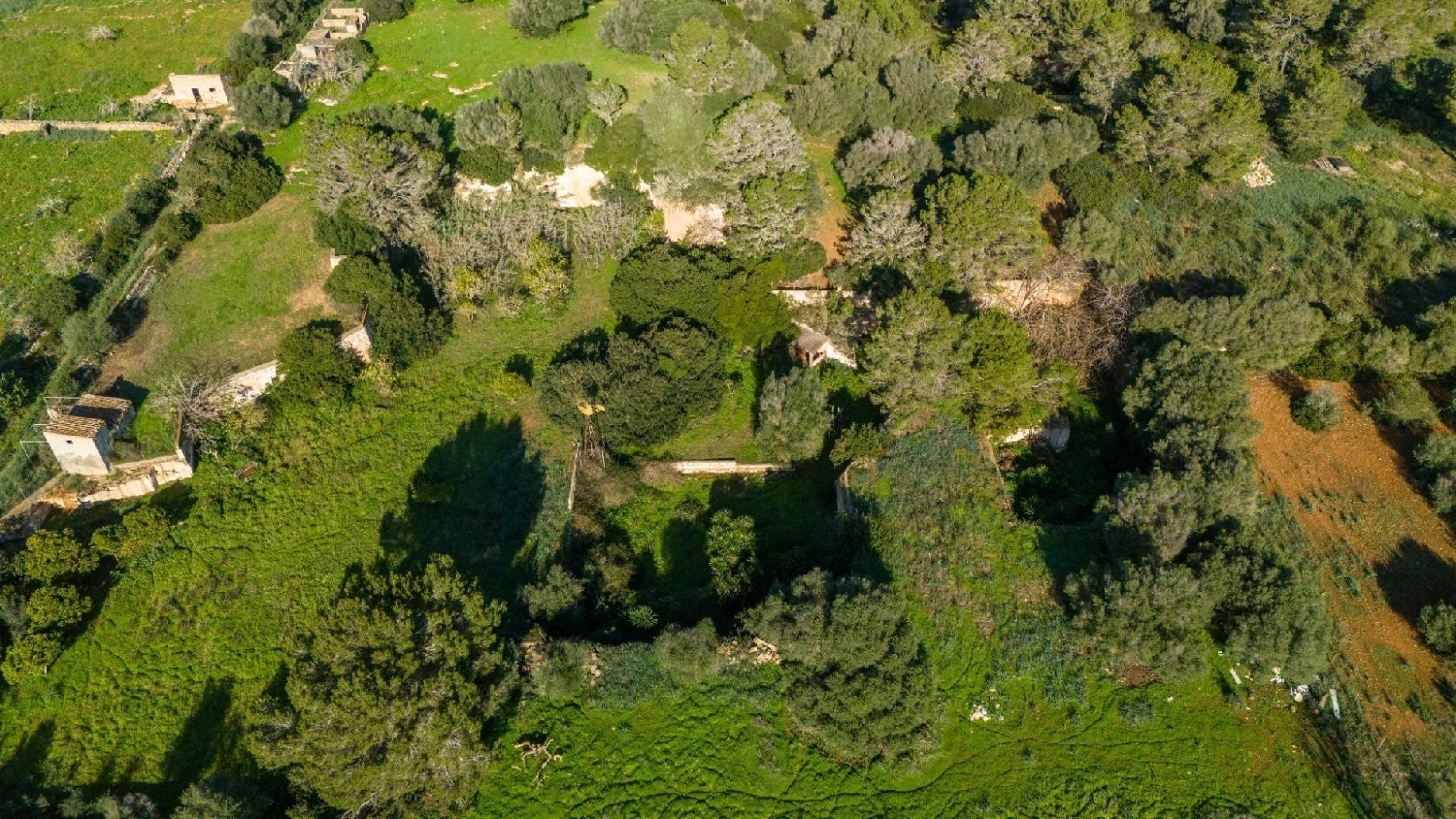  en venta terreno Manacor Llevant 7