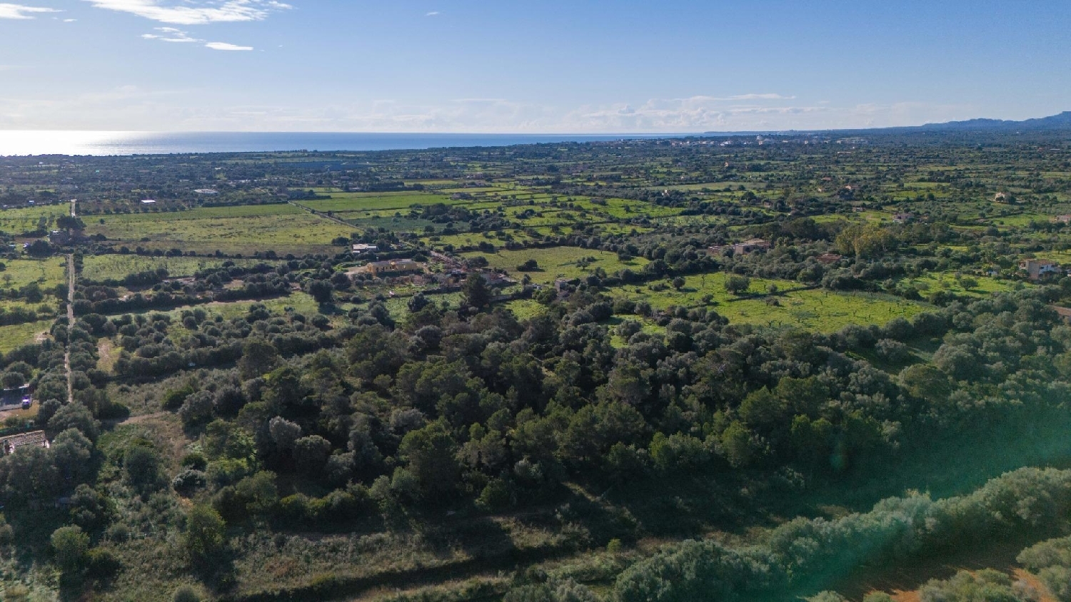  en venta terreno Manacor Llevant 8