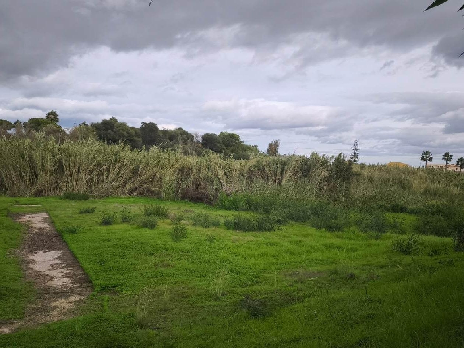  till salu tomt Manilva Costa Del Sol Occidental 5